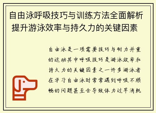 自由泳呼吸技巧与训练方法全面解析 提升游泳效率与持久力的关键因素